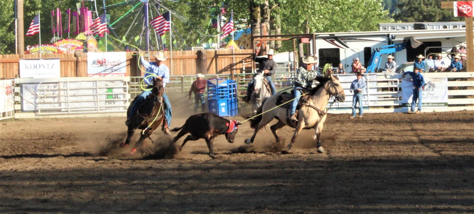 Coos County Fair Update Local News