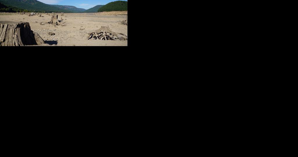 Drought: Third of Oregon counties now in a drought emergency, including Douglas County - Vimarsana News