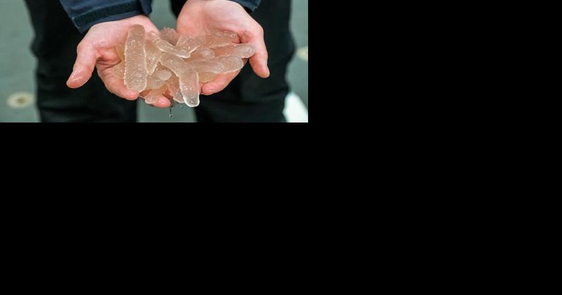 Marine heat waves disrupt the ocean food web in the northeast Pacific Ocean - Vimarsana News