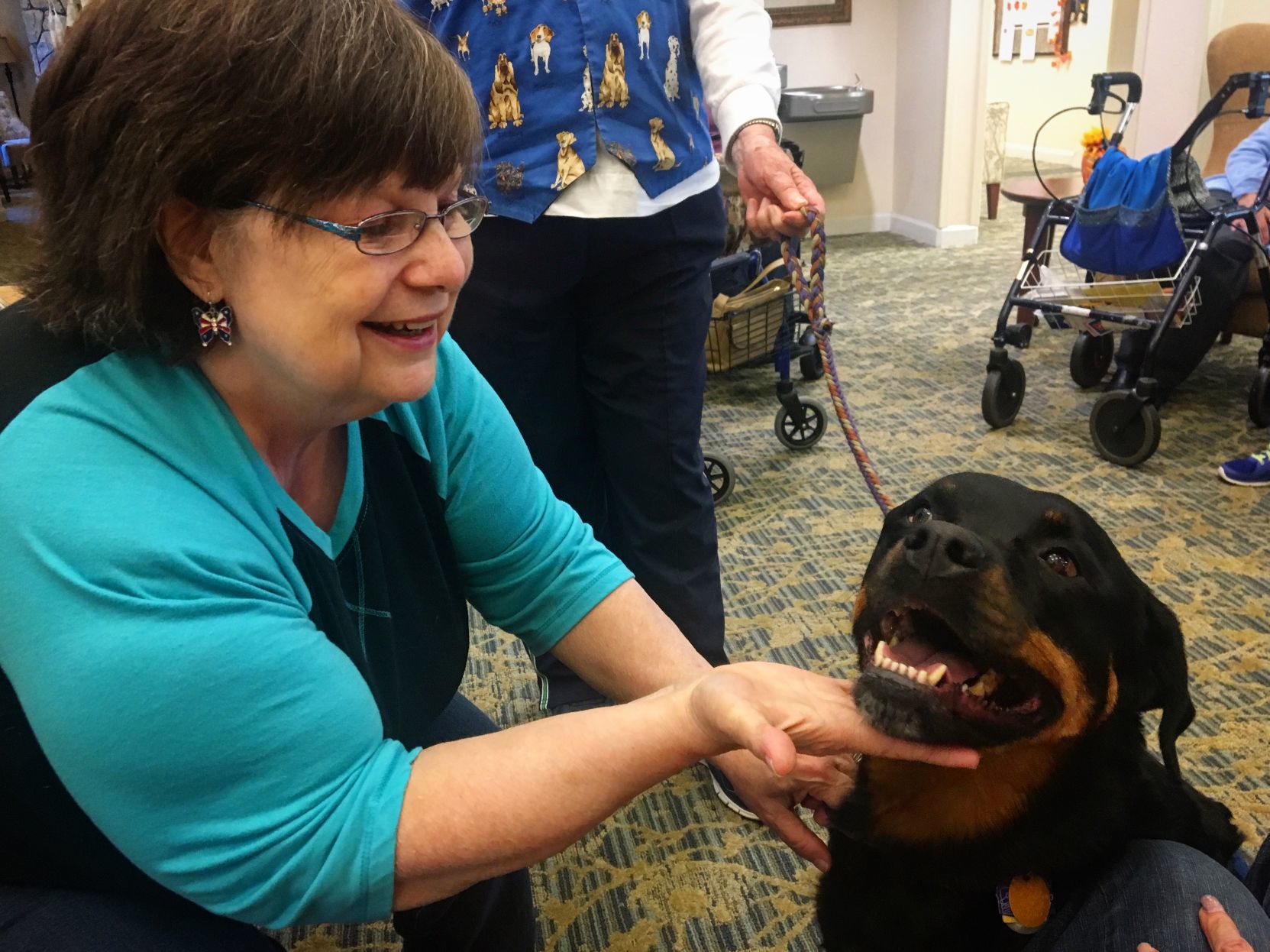 Furry friends pet store assisted therapy services