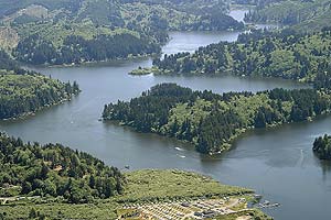 No Action Toward Correcting Tenmile Lakes Pollution Government And Politics Theworldlink Com