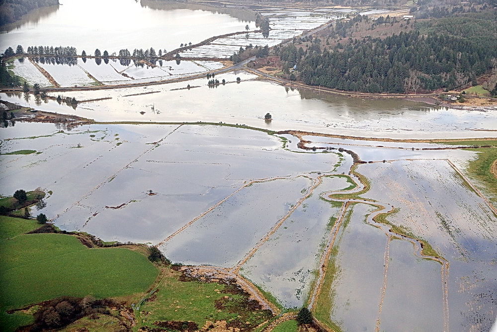 Anyone Can Participate In The King Tide Project Bandon