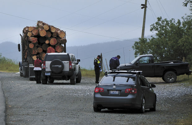 Logging Truck Accident