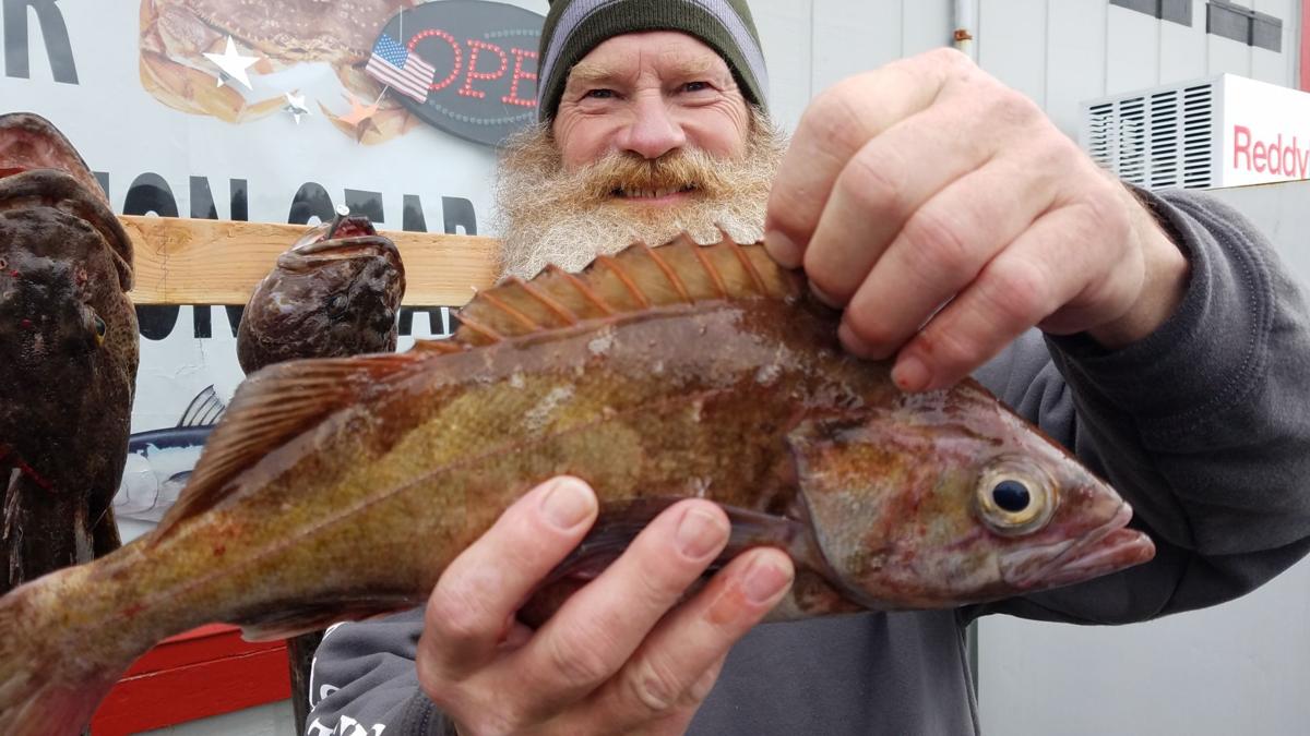 Rockfish or brownie, what is it? Recreation