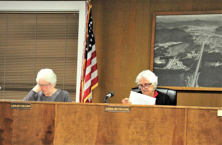 Reedsport City Council discusses audit and police tech updates News