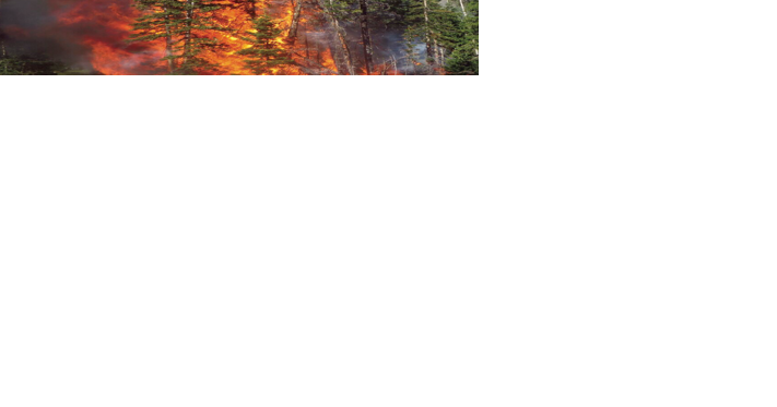 Preparing for the aftermath of lightning strikes - Vimarsana News