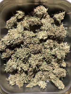 Corvallis researchers develop first-ever common language for cannabis, hemp aromas