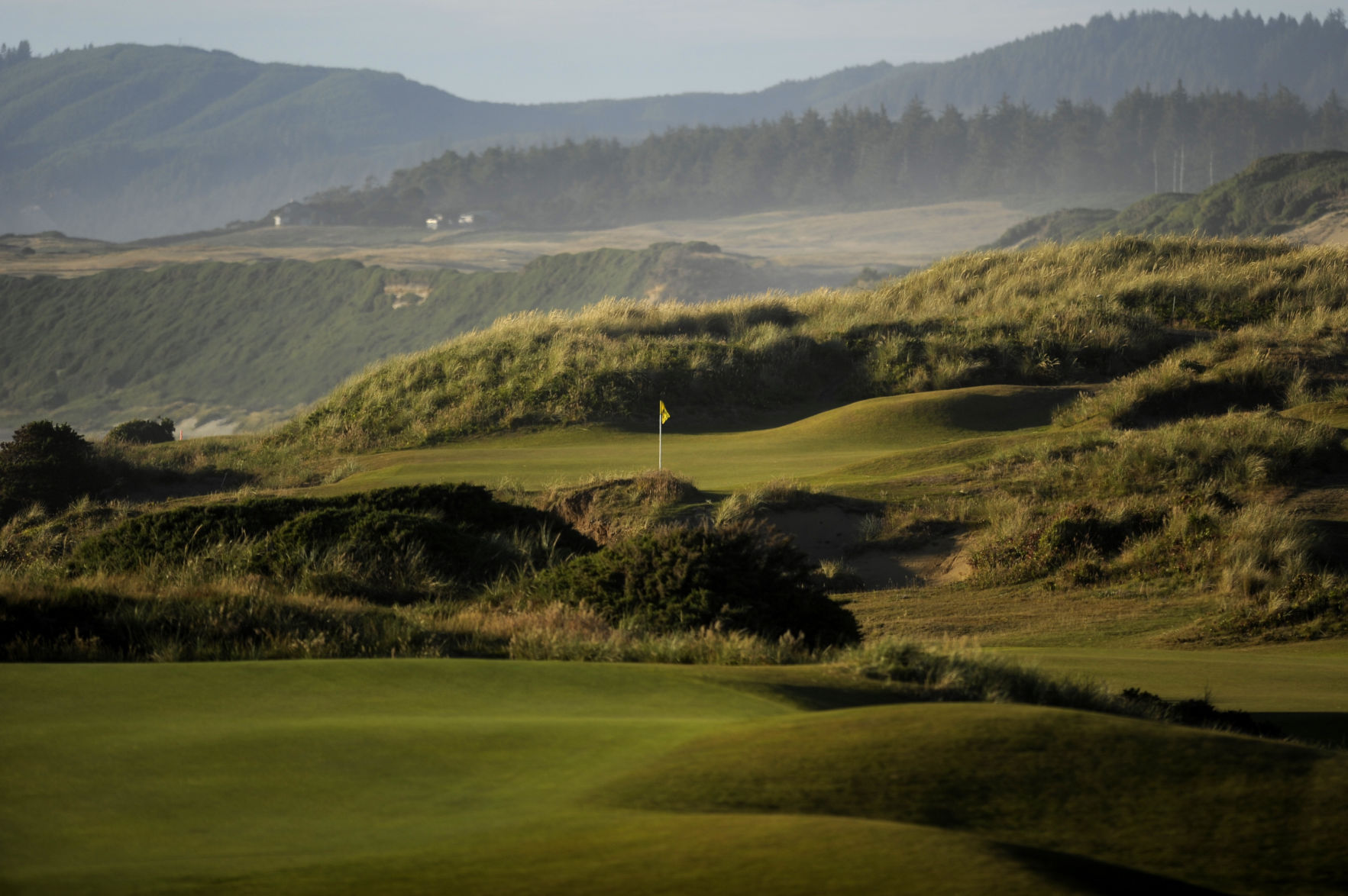 Bandon Dunes Boosts Entire South Coast Economy South Coast Strong   576b691c641b2.image 