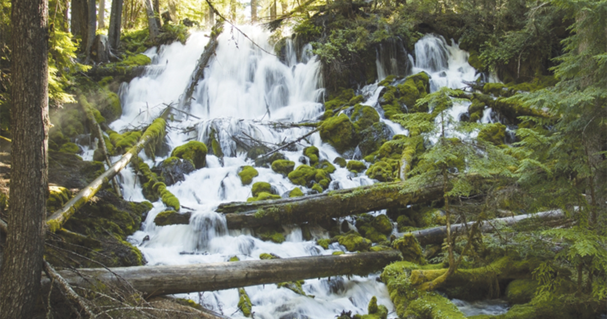 Counties weigh in on habitat conservation plan - Vimarsana News