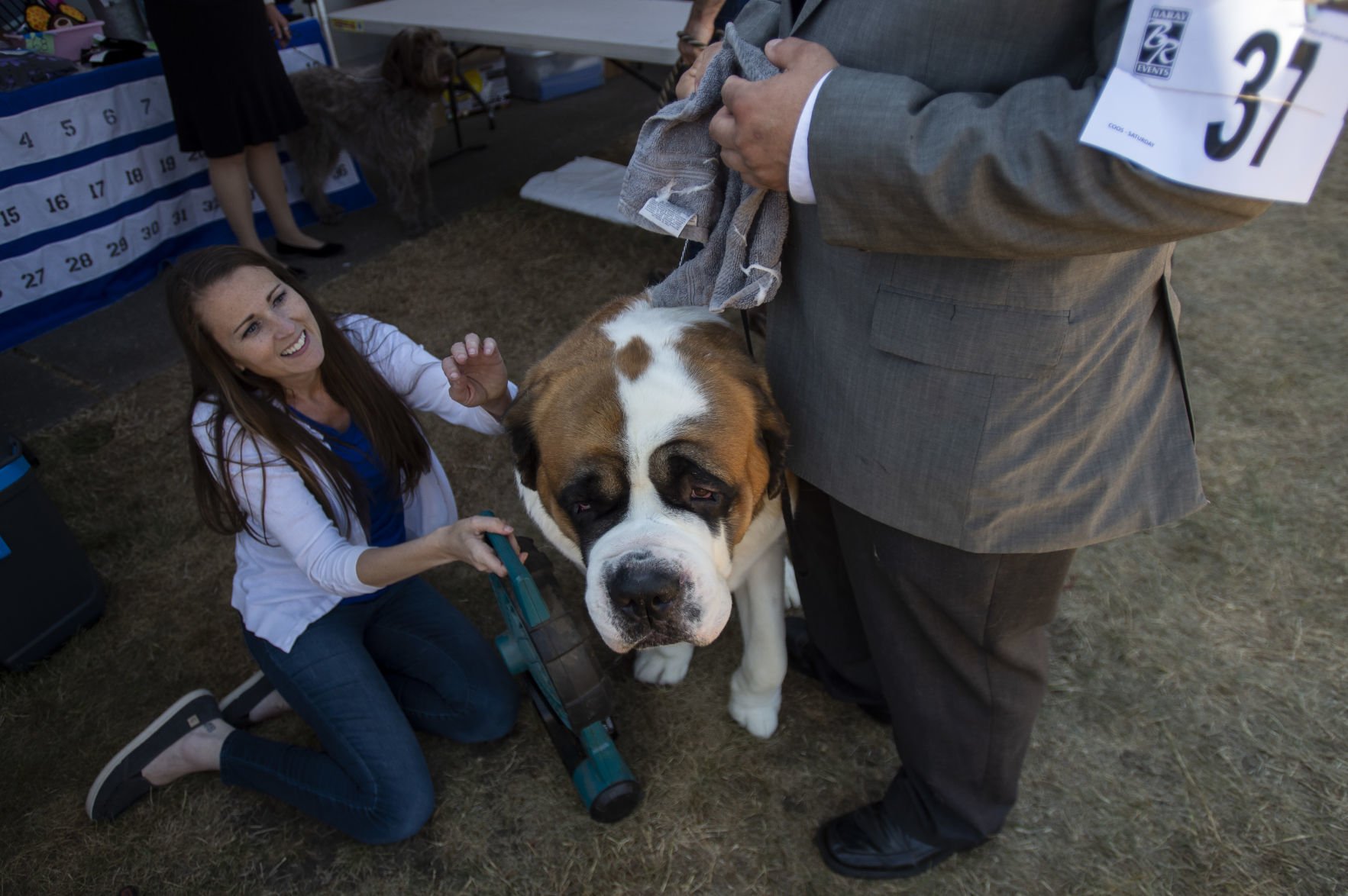 49th annual Coos Kennel Club Dog Show draws thousands to Bandon