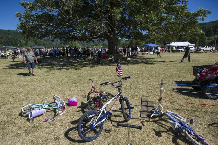 White Cedar Days Photo Collections