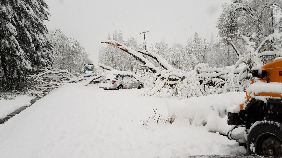 Trapped by a storm Local News