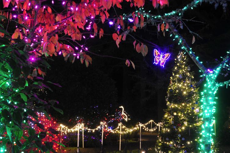 Shore Acres Lights Photo Collections