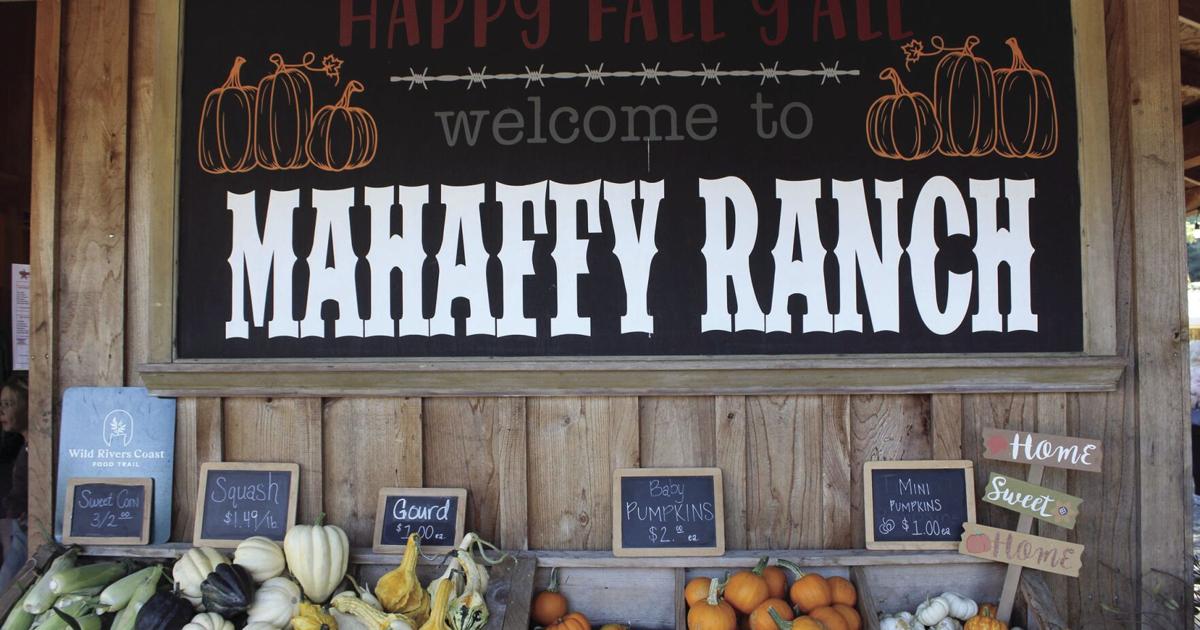 Mahaffy Ranch Mahaffy Ranch offers family fun | Local News | theworldlink.com