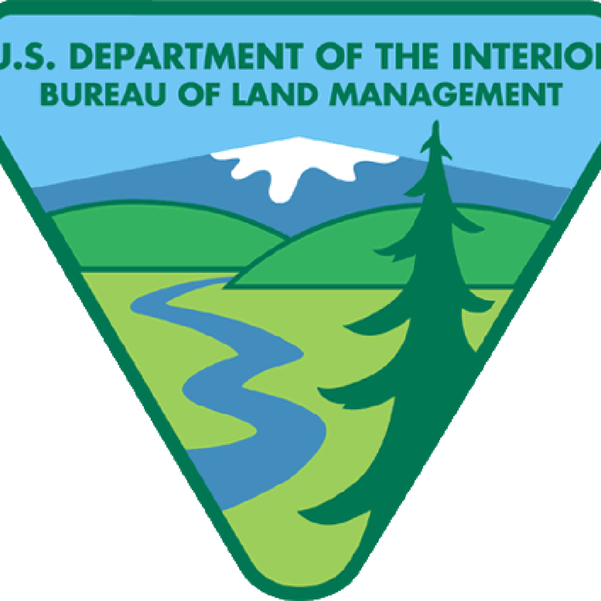 Christmas tree permits now available
