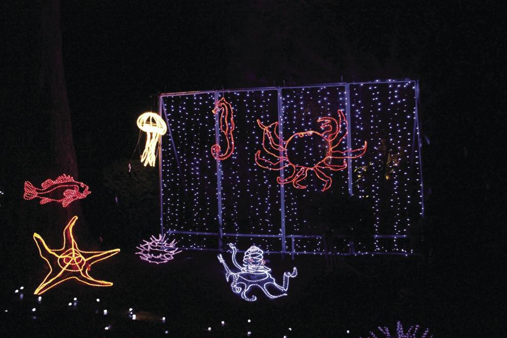 Shore Acres’ Holiday Lights begin their 37th Year Local News