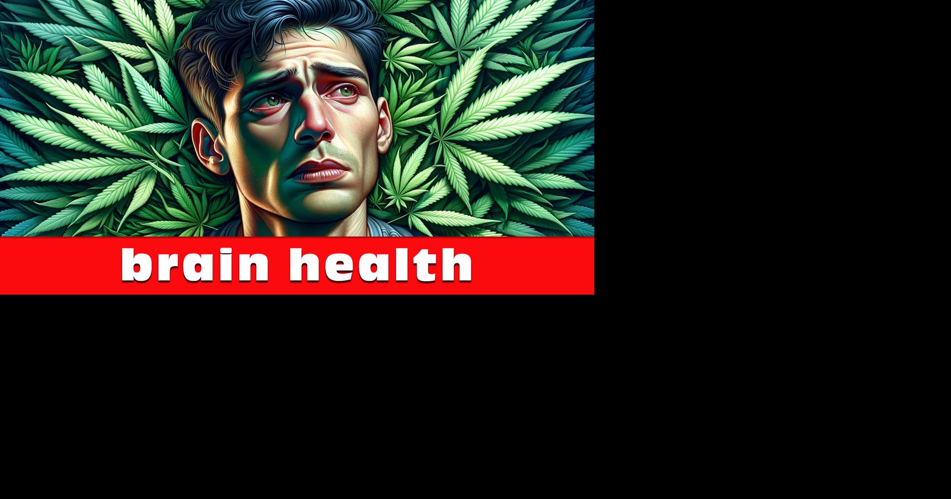 Lakeland Health Alert: Cannabis Use Linked to Increased Psychiatric