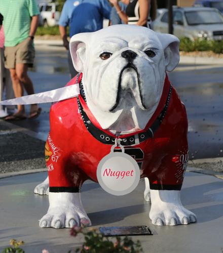 Georgia Bulldogs Pet Stretch Jersey