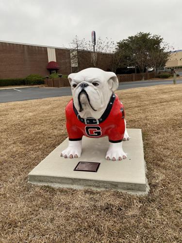 Georgia Bulldogs Pet Stretch Jersey