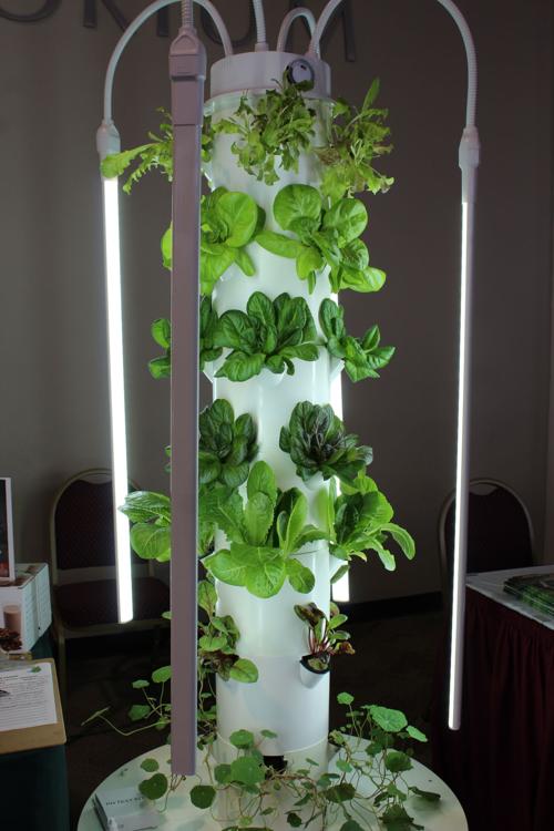 A Tower Garden On Display At The Conference The Towers Use Only