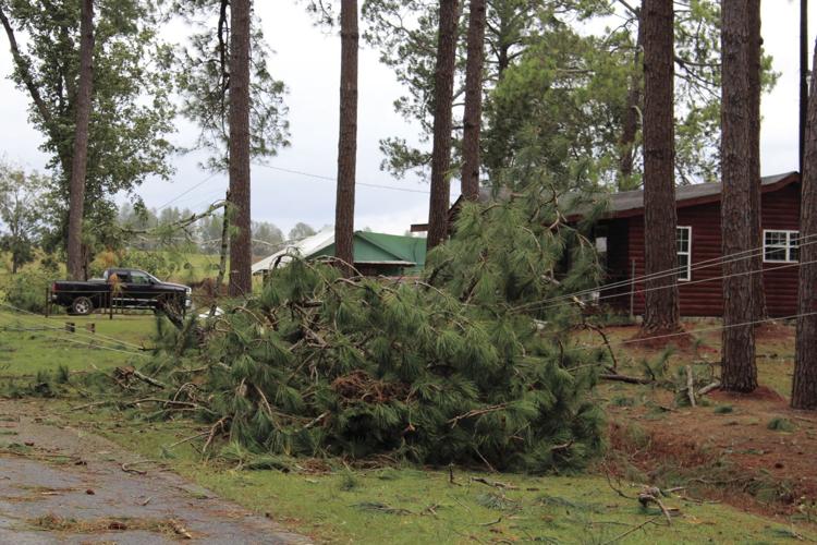 Virginia Department of Emergency Management on X: When #HurricaneMichael  reaches the Commonwealth it will bring tropical storm force winds which can  produce prolonged power outages. Prepare your family and household for a