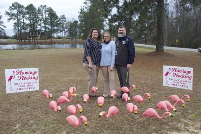 Flamingos flock to Hathaway's front yard for annual fundraiser to fight child abuse