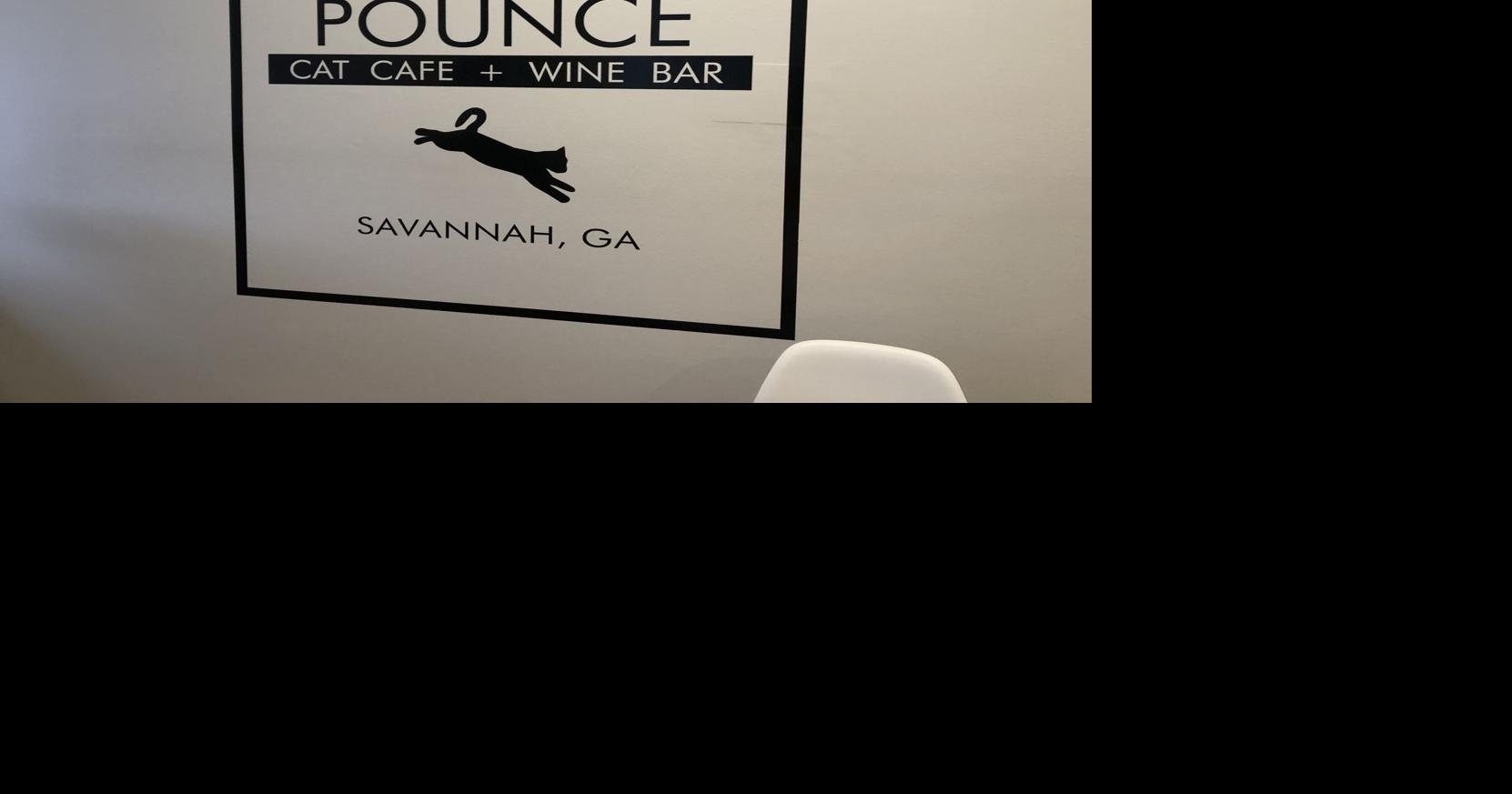 Pounce Cat Cafe and wine bar Review Blogs