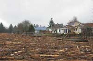 Worst Storm In Memory News Tillamookheadlightherald Com