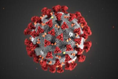 Tests For Covid 19 Conducted In Tillamook County News Tillamookheadlightherald Com