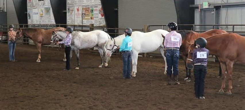 Horse Fair Care Home Jobs
