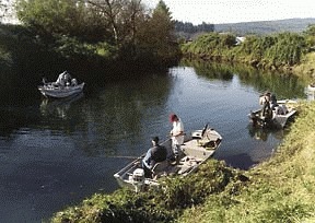 Go fish in Tillamook s rivers tillamookheadlightherald