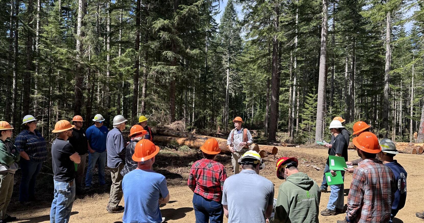SFAC heads into the forest - Vimarsana News