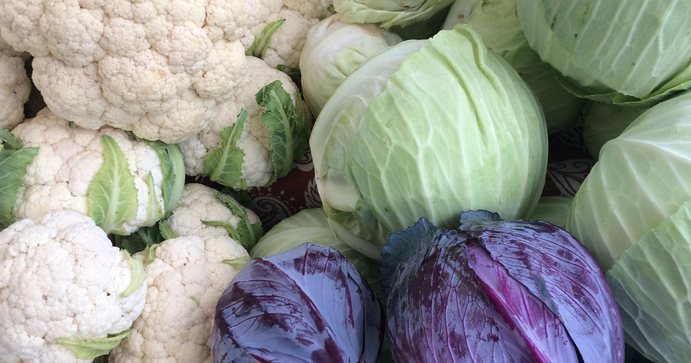 Cold-Hardy Vegetables