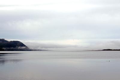 Fog.tif