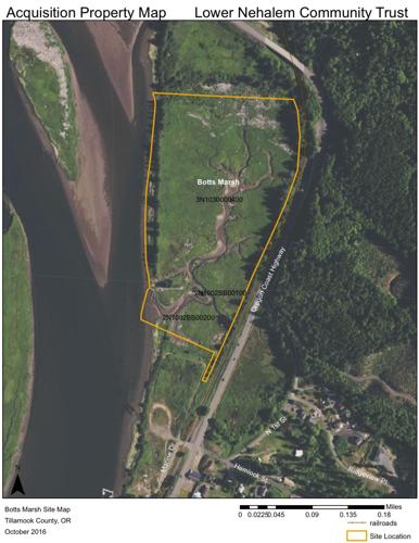 Support of proposed Botts Marsh wetland purchase gushes into city hall ...
