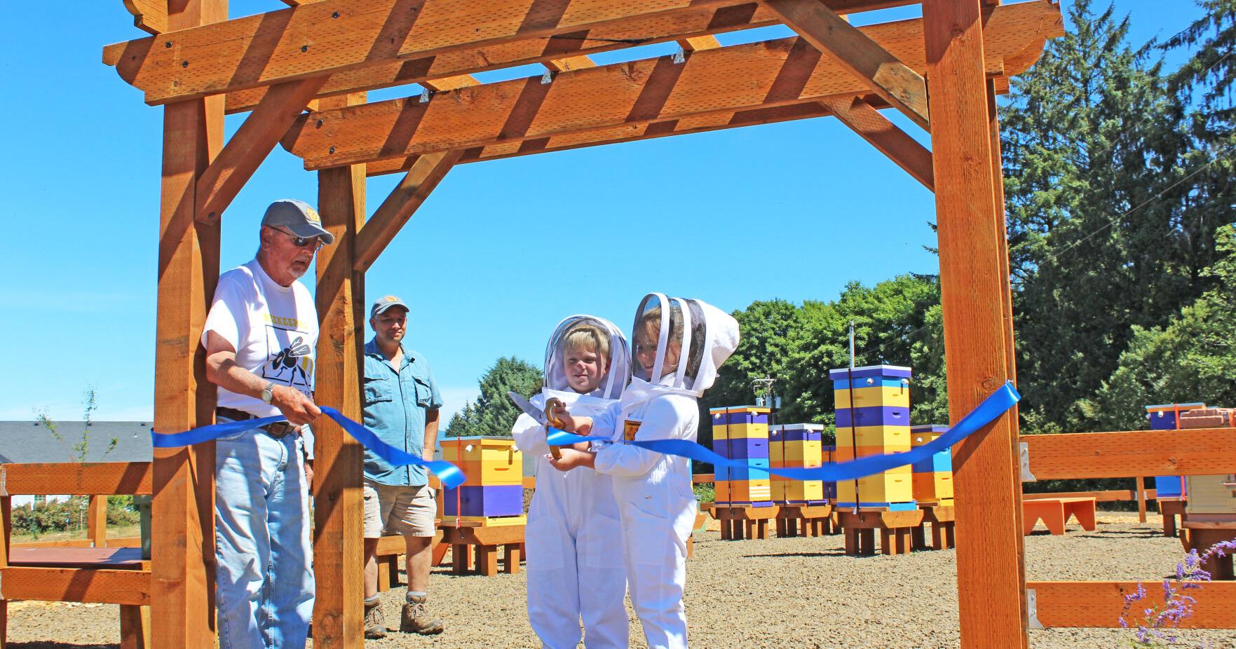 Tillamook Beekeepers Association celebrates apiary grand opening - Vimarsana News