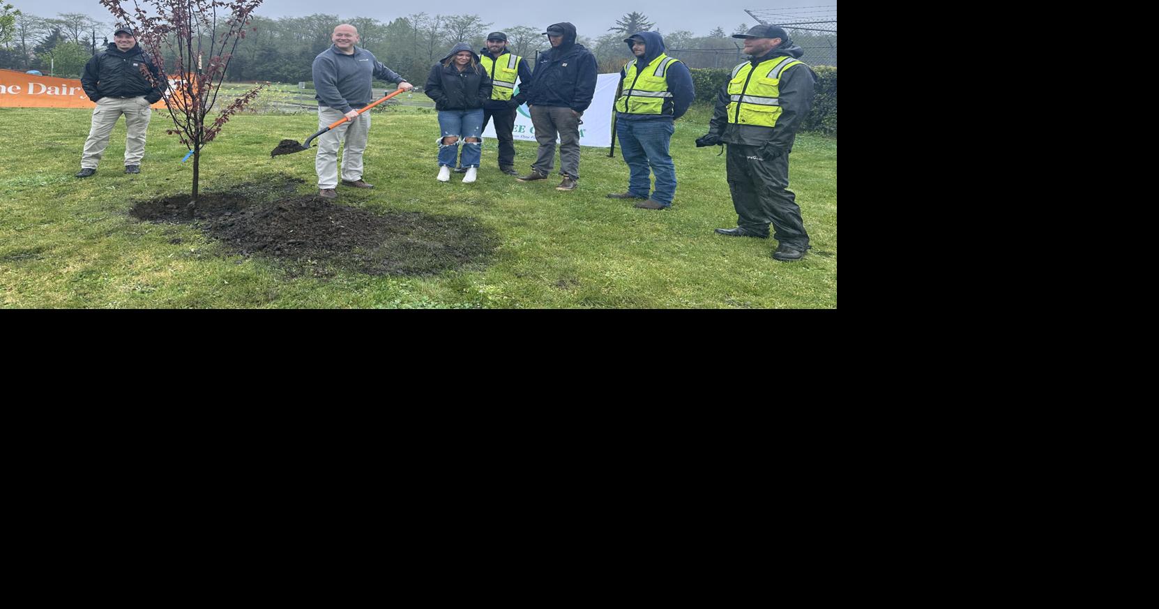 Tillamook staff mark Arbor Day with tree planting | Community ...