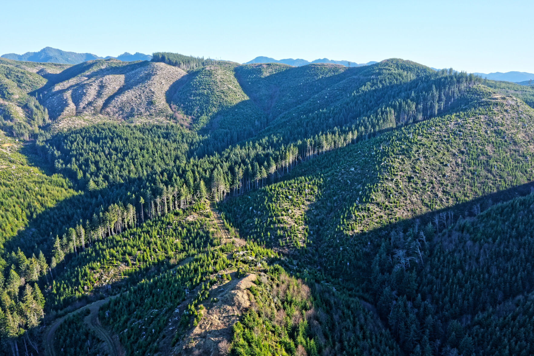 Guest Column: Oregon's Forest Practices Act is inadequate | Opinion | tillamookheadlightherald.com - Vimarsana News