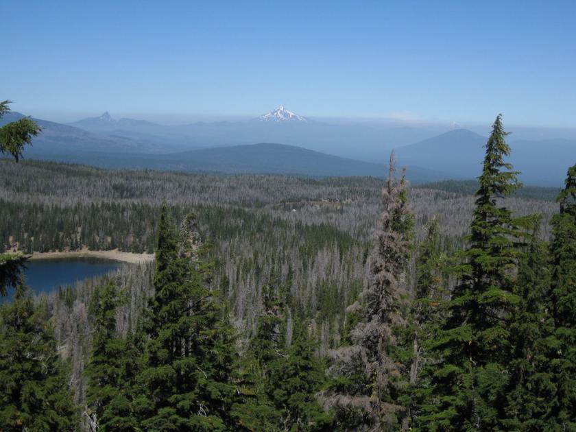 Nature's 'slow lanes' offer hope for species feeling heat of climate change, other pressures - Tillamook Headlight-Herald