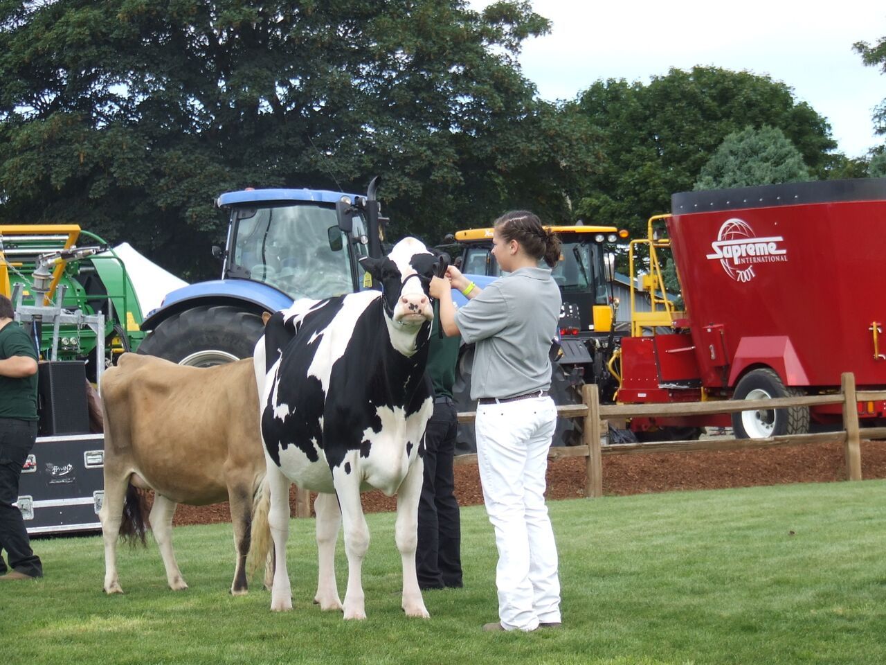 Tillamook County Fair | Community | Tillamookheadlightherald.com