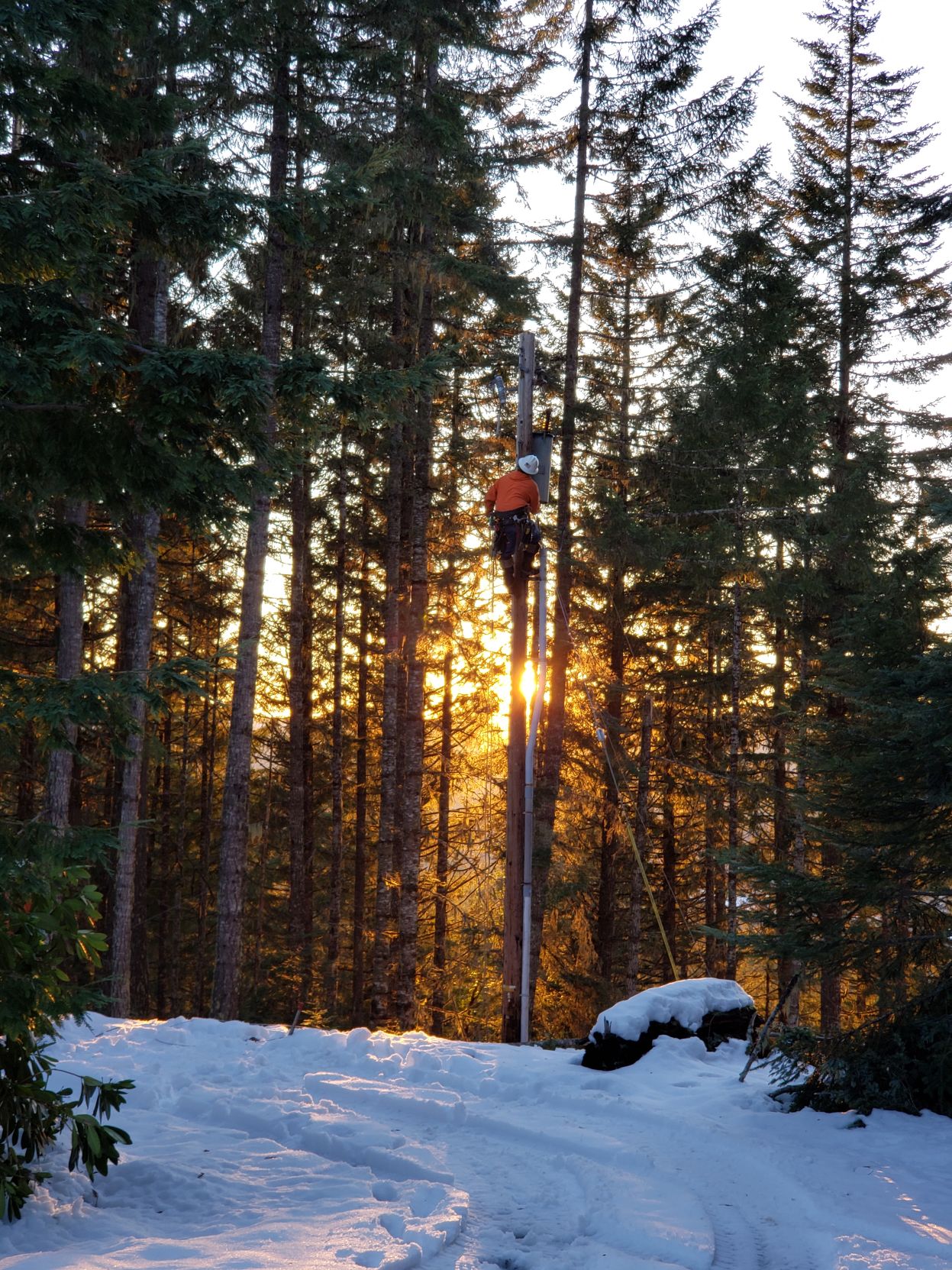 Tillamook PUD crews assist in Willamette Valley News