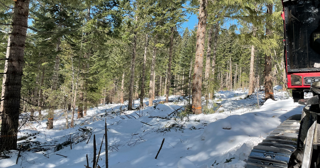 State, federal agencies partner to restore forests, reduce fire risks - Vimarsana News