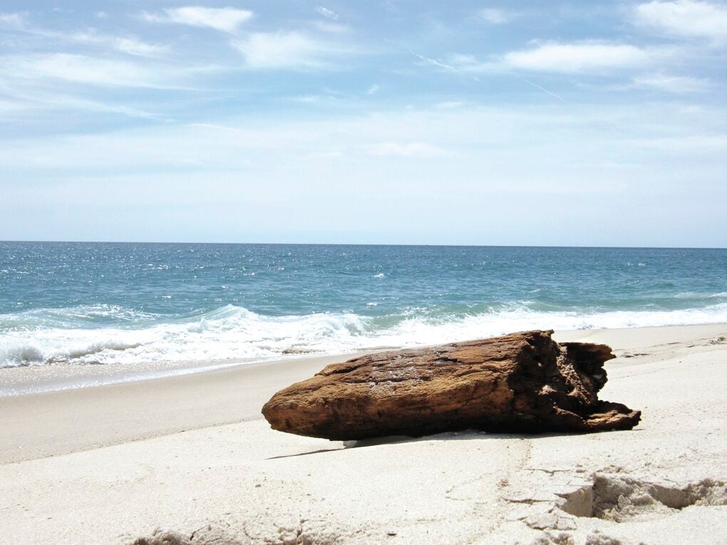 beach log.TIF