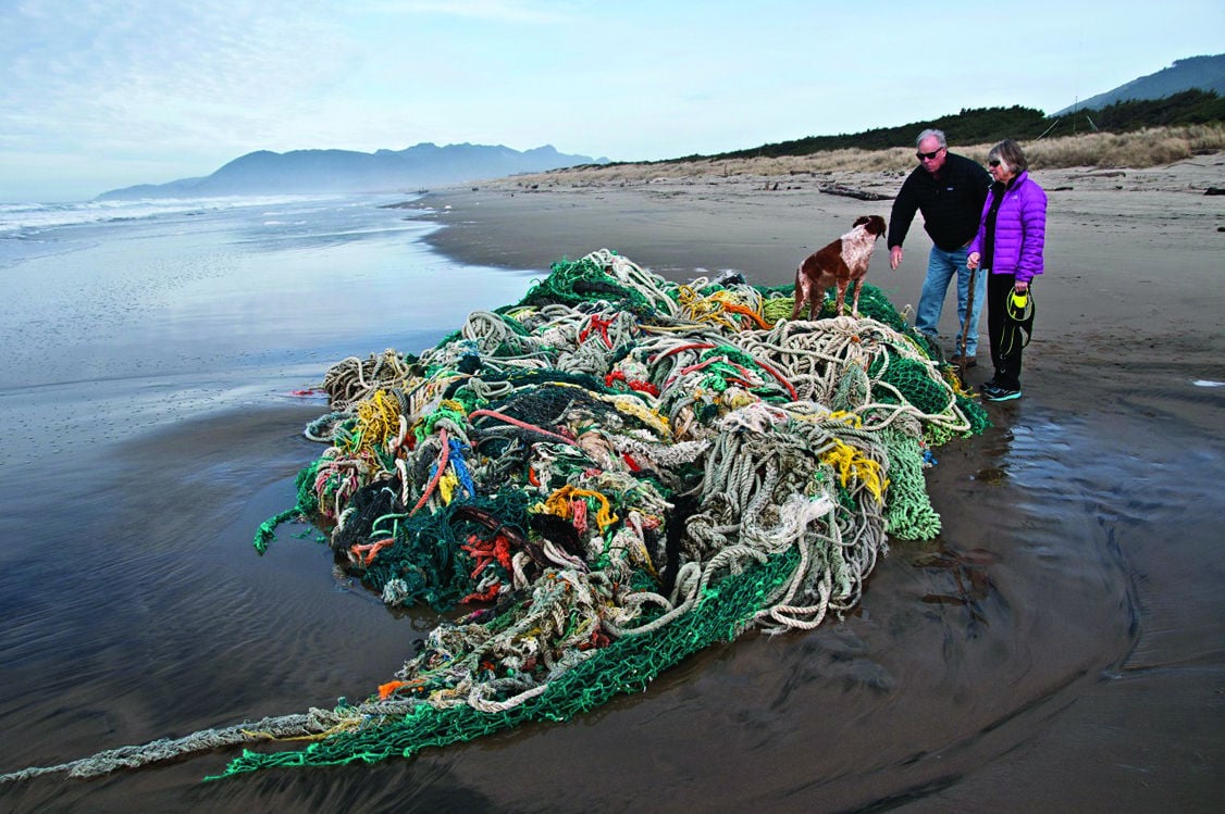 Washed ashore: Massive tangle of ropes and nets show up on beach, News