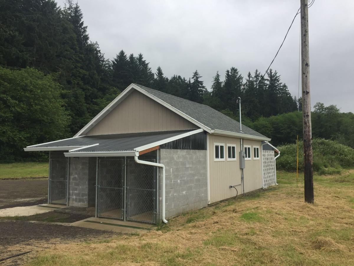 Tillamook Animal Shelter BAHIA HAHA