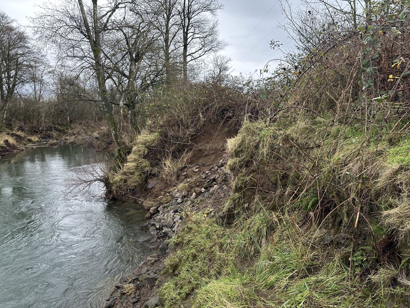 Compromised berm on Wilson River threatens loop road business