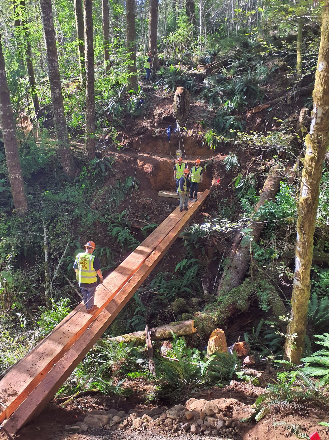 Tillamook State Forest gets a new trail bridge thanks to South