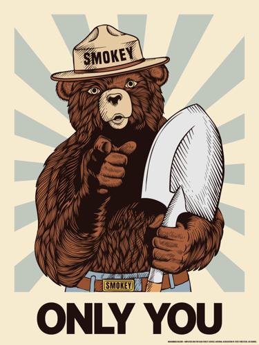 Smokey Bear Trekking Pole