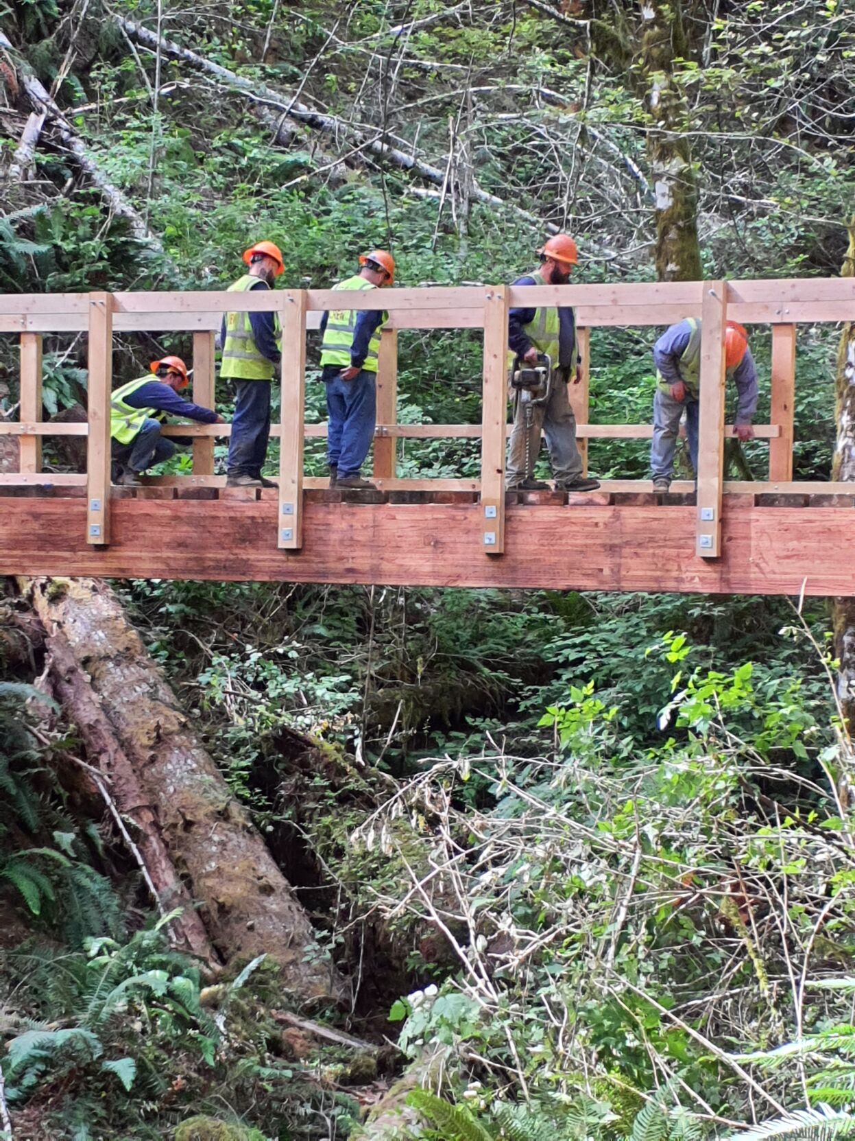 Tillamook State Forest gets a new trail bridge thanks to South