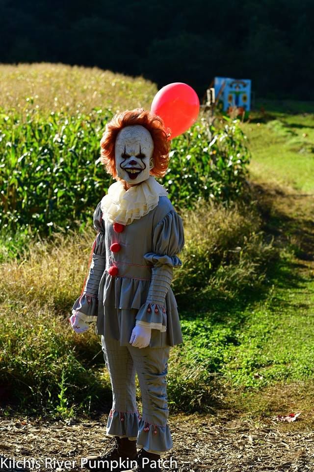 Kilchis River Pumpkin Patch & Corn Maze open this October Community